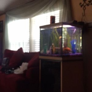 Meet your Posher, Helen